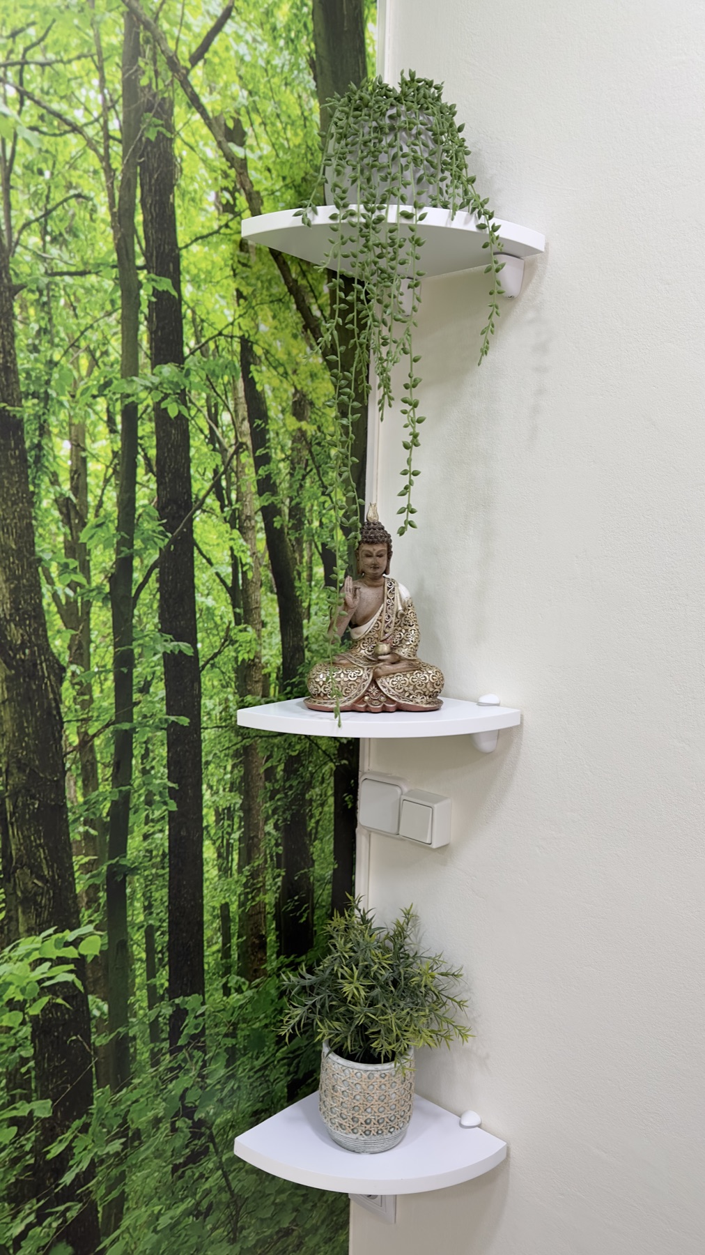 Pared de bosque con plantas en la consulta
